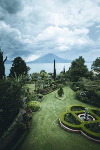 Succulent view 3