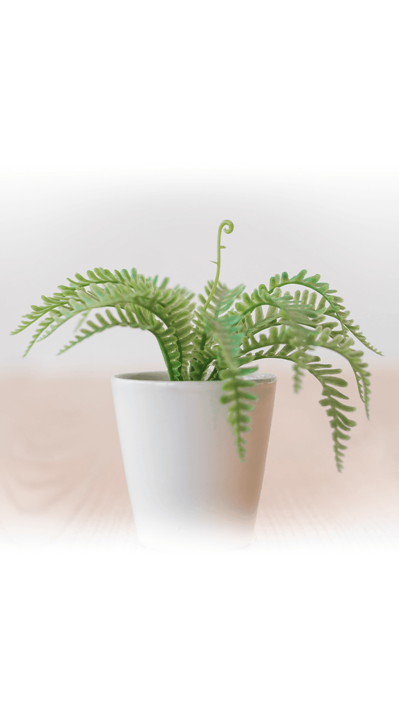 Green plant