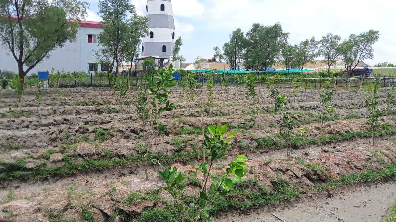 National Tree Fair 2025 held in Dhaka, BD