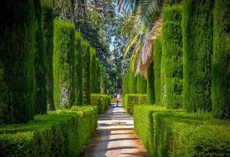 Landscaping Design and Execution