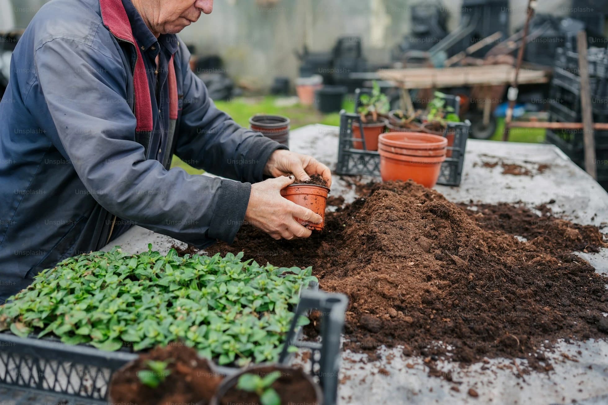 Fertilizer and Pesticides
